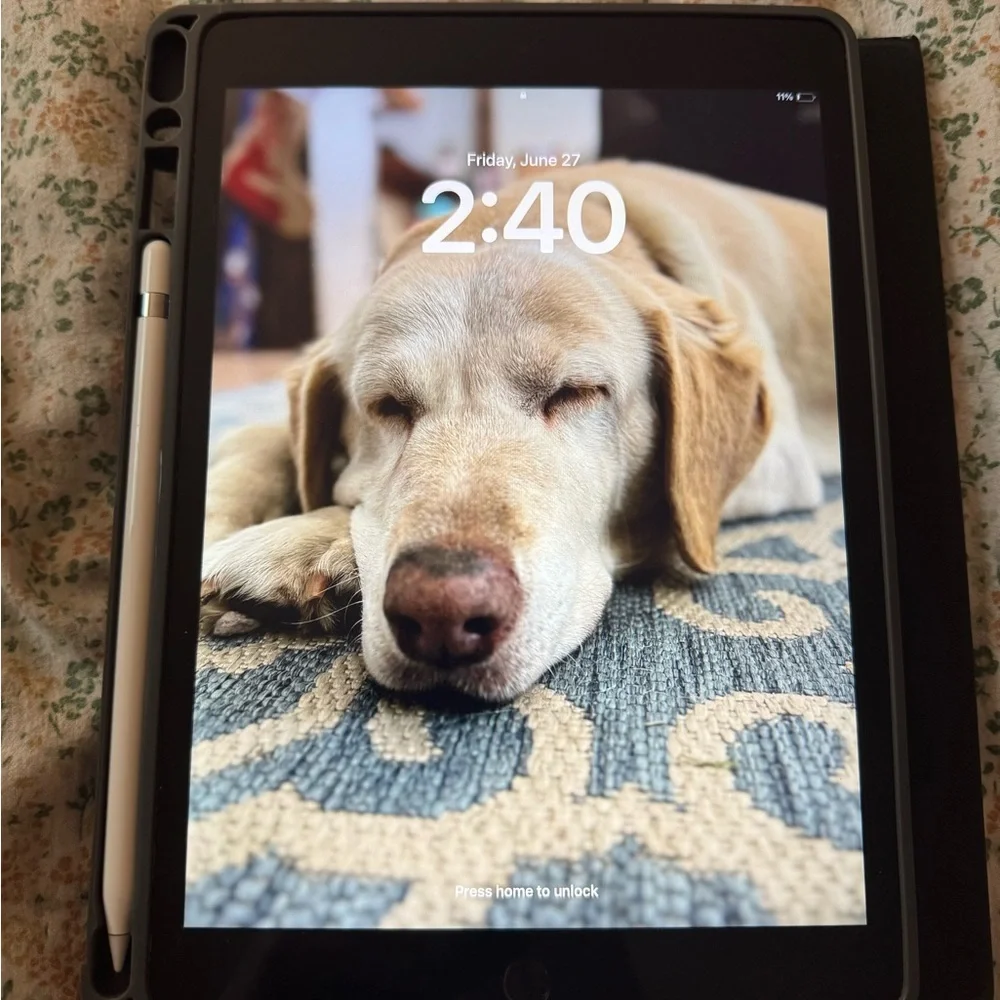 9th Gen iPad and Pencil